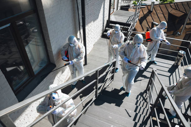 Best Mold Odor Removal Services  in Langhorne, PA
