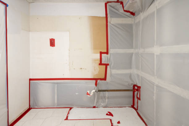 Best Industrial Mold Remediation  in Langhorne, PA