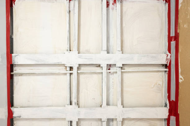 Best Commercial Mold Inspection  in Langhorne, PA