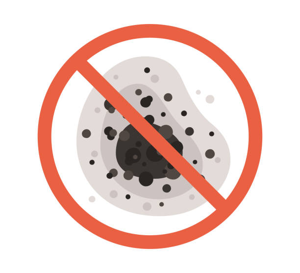Best Black Mold Removal  in Langhorne, PA